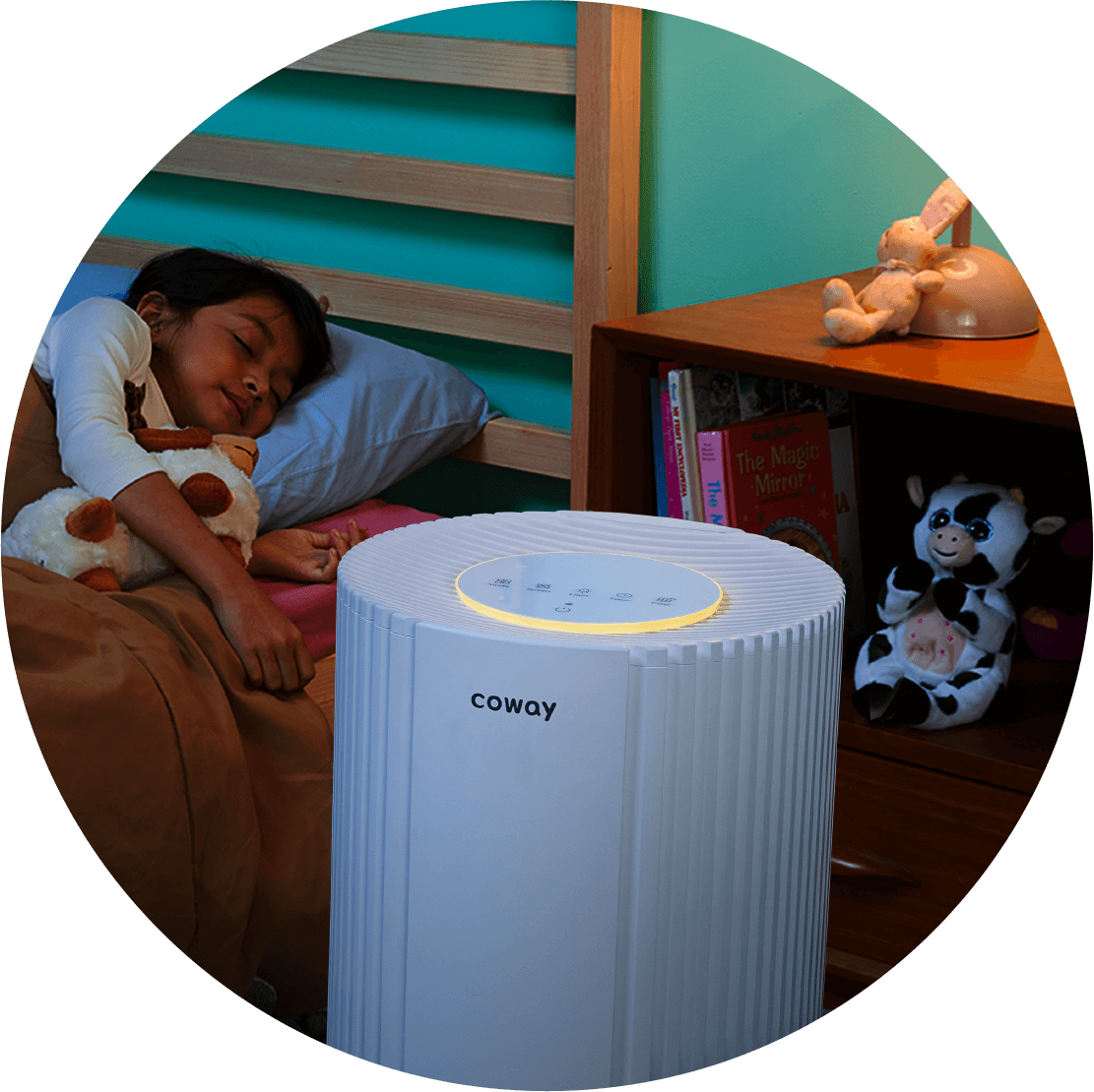 Deodorisation Filter Coway Suite